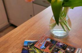 Apartament "Przy Jeziorku" - Foto 18