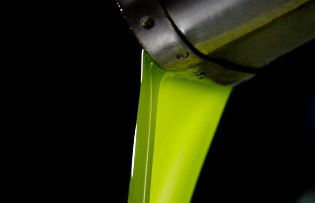 Visita al frantoio Oleícola Jaén con degustazione di olio - Foto 3