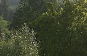 Gîtes du Chêne Vert - Foto 16