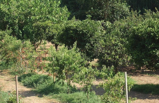 Tertenia Ground Floor South 3 min Walk From the sea - Photo 46