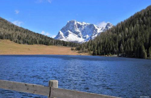 Casa Danoli - Foto 59