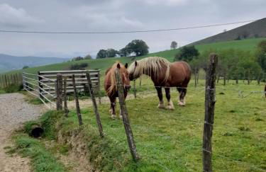 Gîte à la Ferme Larranda - Foto 9
