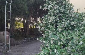 Sa Stella E Monti - Foto 18