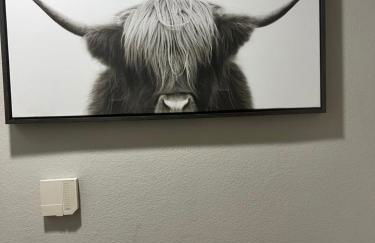 Cowtown 1 bedroom Downtown FTW - Photo 6