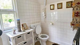 The Annexe Lurley Manor - Foto 3, Shower