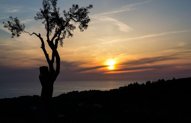 Villa Isavros in Paxi - Foto 52