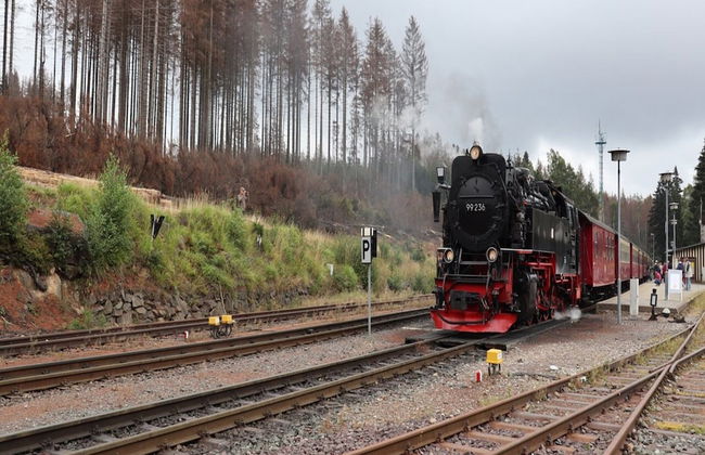 Blockhaus, Schierke - Foto 64