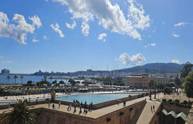 Ultimate Palma Tour: Historic Highlights Palaces, Gardens & Cathedral Tour - Foto 5