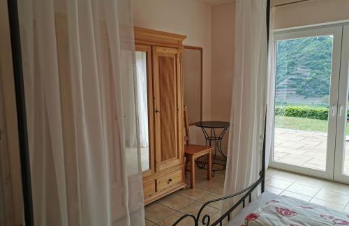 Weingut Amlinger&Sohn - Photo 6