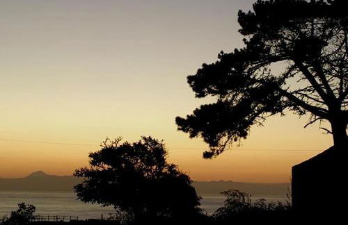 Casa Às Oito - Photo 35