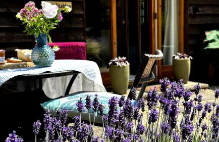 Cottage near Corfe & Jurassic Coast - Foto 52