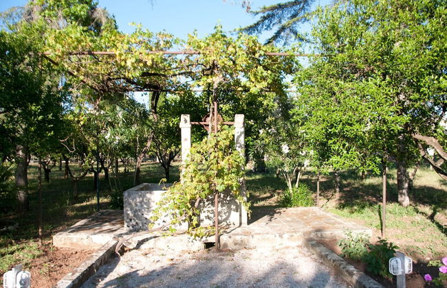 Agriturismo Villa Coluccia - Foto 47