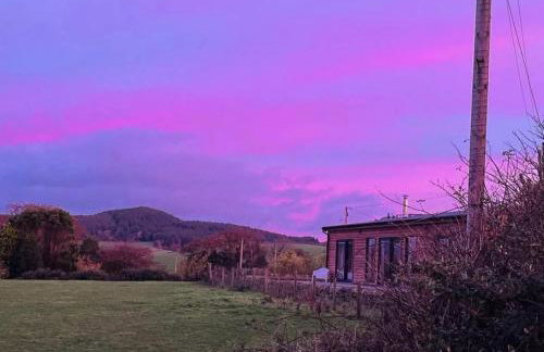 Fleet View - Foto 50