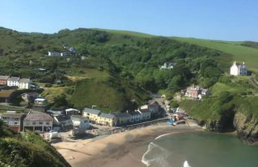 Y Boidy Bach - Photo 46