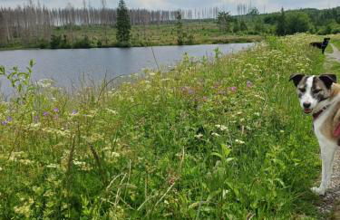 Waldgeflüster - Photo 20