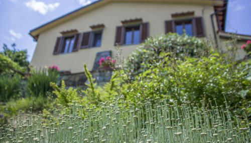 Villa Porcigliano Olive Grove - Foto 3