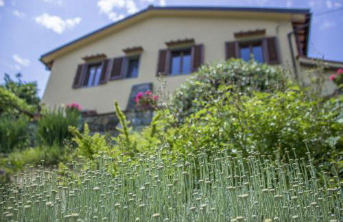 Villa Porcigliano Olive Grove - Foto 3