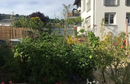 Ferienwohnung im Herzen von Kelheim - Foto 1