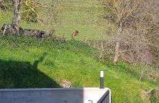 Apartamentos Rurales Sariar - Photo 37