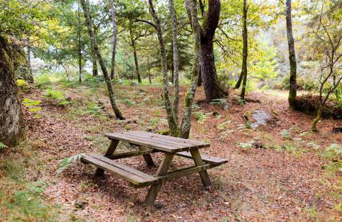 Casa das Gandas - Foto 33