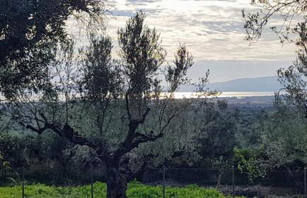 The Secret Garden at Villa Georgia Kalamata - Foto 32