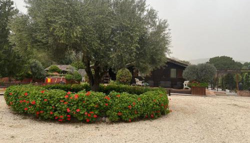 FINCA ALMAZARA - Foto 4, Lobby or reception