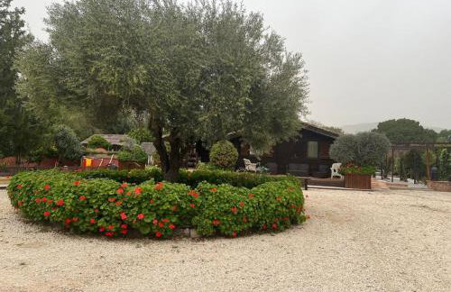 FINCA ALMAZARA - Foto 4