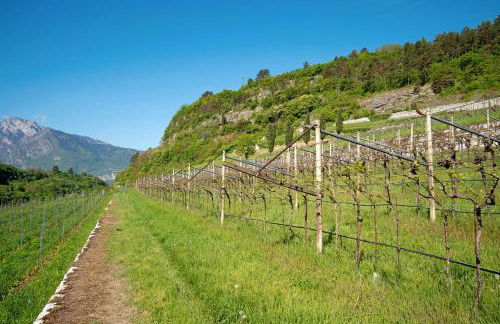 Maso Cantanghel wine retreat - Photo 7