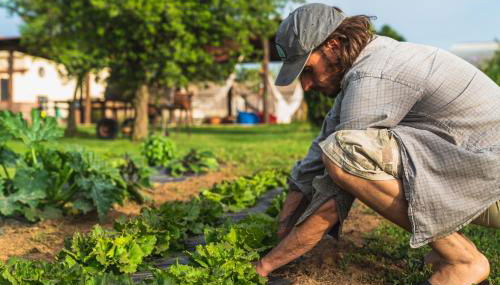 Agriturismo Al Girasole - Foto 4, Garden