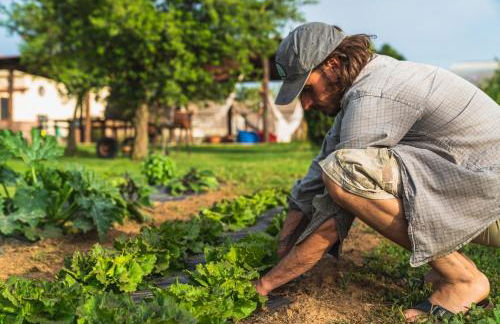 Agriturismo Al Girasole - Foto 4