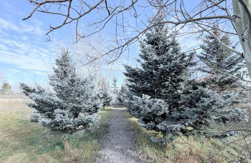 Cozy Cottage in the Tetons - Foto 25