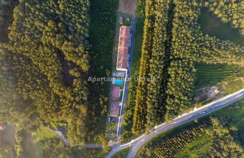 Alojamiento Ultreia - Estorde - Foto 35