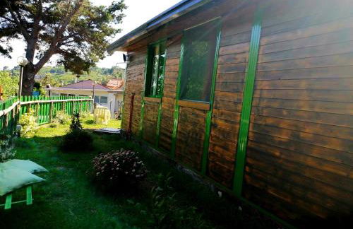 CHALET IL GELSOMINO DELL'ETNA - Foto 42