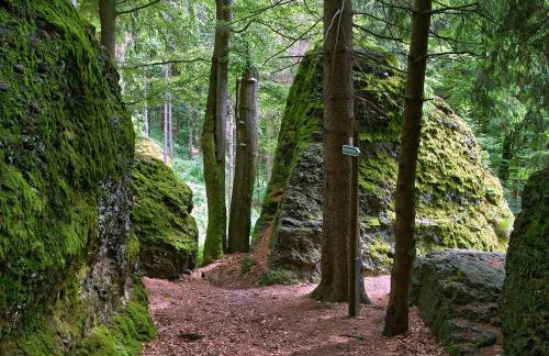 Panoramaferienwohnung Bergwiese - Foto 18