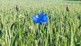 Landhaus Hohenfelde - Foto 5