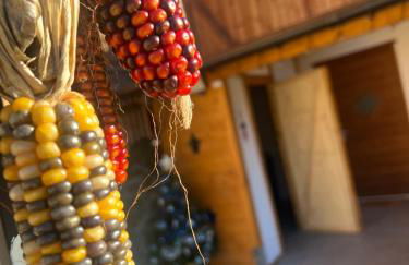 Appartamento Sara - Photo 33