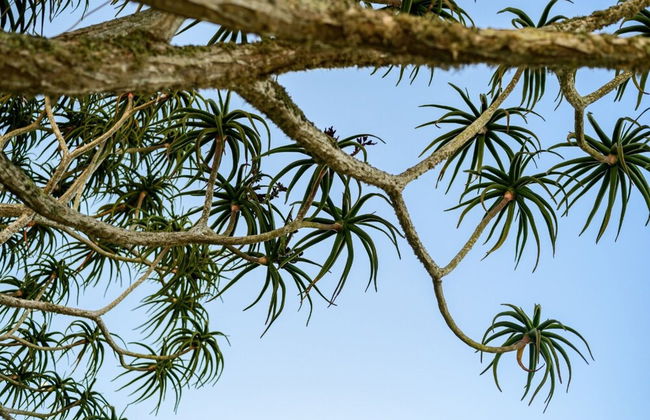 Sea Studio - Sea-facing - Foto 33