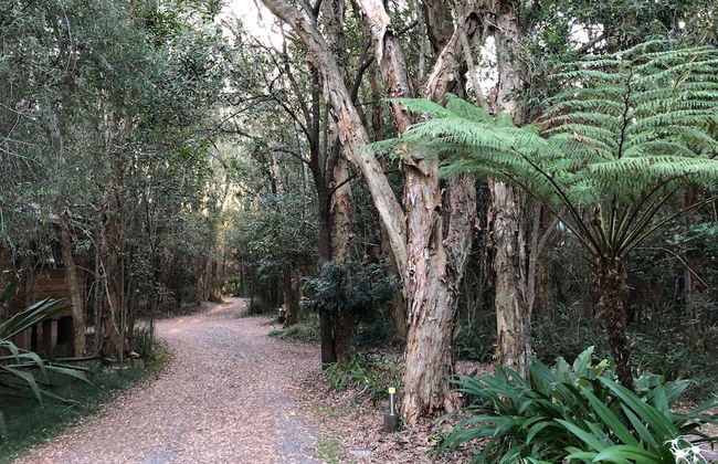 Wanderers Retreat Port Stephens - Photo 79
