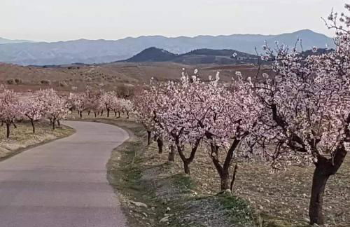 Immaculate Casa 2 bed 2 bath with pool Casa Oriana Oria Almeria - Foto 32