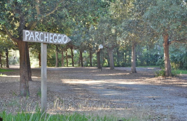 Masseria Lama - Foto 70