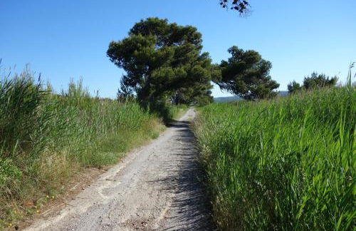 Maison à Narbonne plage proche mer et clape - Foto 21