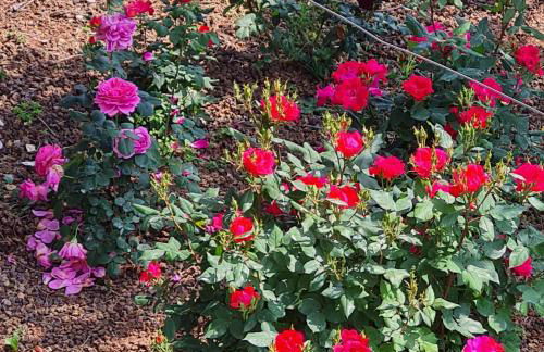 A casa di Albino e Giovannina - Foto 12