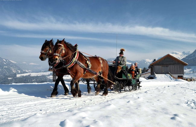 Scenic Apartment in Krispl Salzburg With Swimming Pool - Foto 46