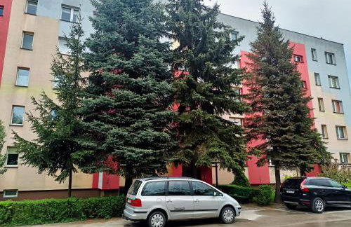 Mieszkanie Mickiewicza ... 45 - Foto 31