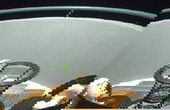 CloudView Snoopy Theme, Golden Hills Resort Genting, Genting Highlands - Foto 46