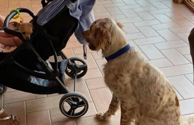 Setter House Agri Hotel - Foto 77