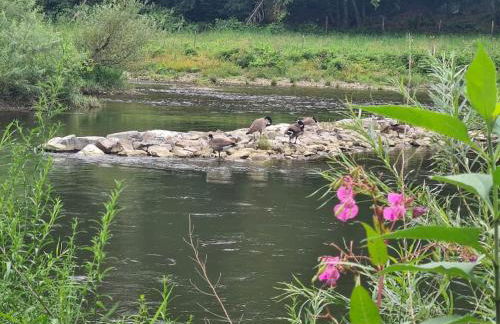 Ferienwohnung besonderer Art - Foto 39