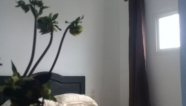 Dar Rosa Bleu - Foto 2, Camera