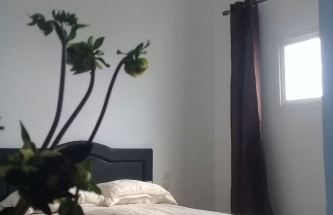 Dar Rosa Bleu - Foto 2