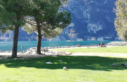 L Ora del Garda - Photo 30